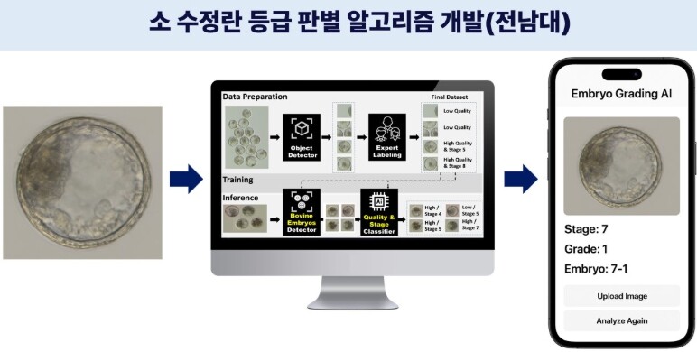 전남대, 수정란 품질 판별 알고리즘 ...