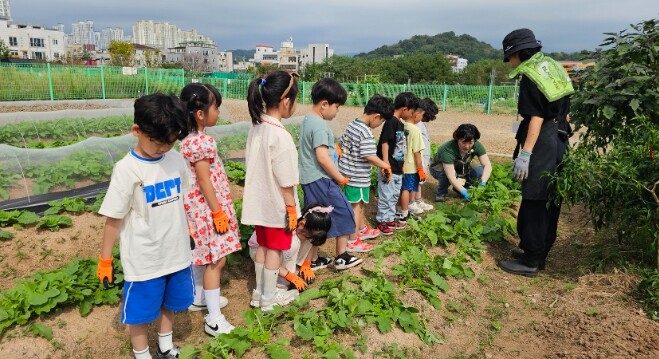 순천시, 시민참여형 도시텃밭 체험 프...