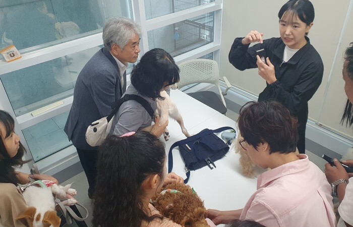 새 가족 만난 유기견들의 특별한 재회...