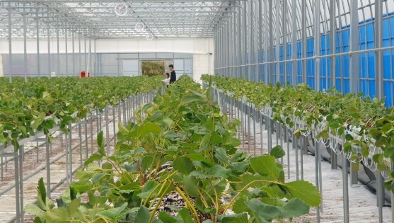 곡성군 청년농업인, 월 1만원 임대형...