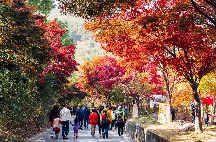 전라남도 만추의 계절, 전남서 단풍길...