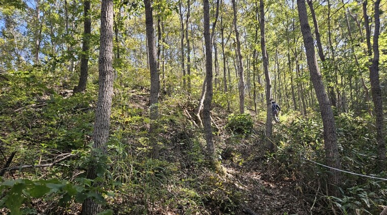 진안군, 2025년 숲가꾸기 완료진안...