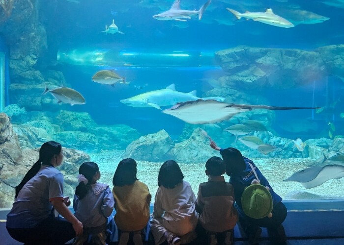 “하루에 바다를 다 체험할지니”수원 ...