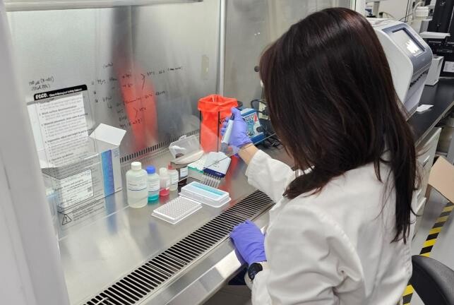 세종시 구제역 백신 항체 양성률 