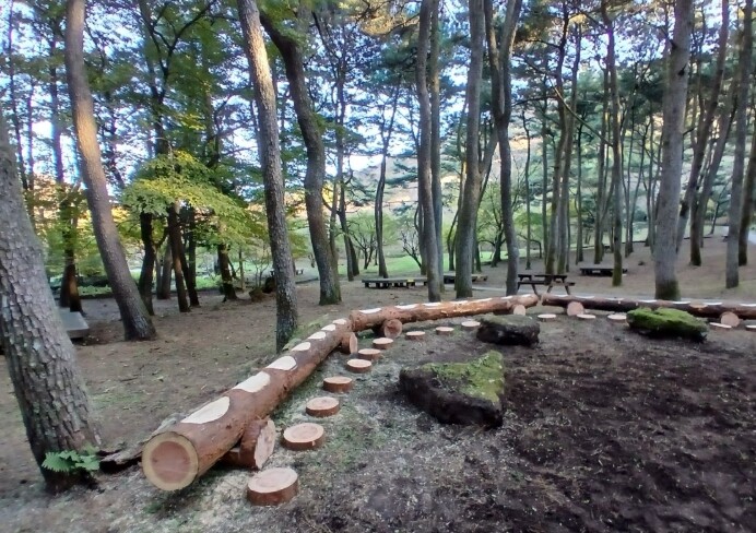 제주시 절물생태관리소, 간벌목 활용 ...