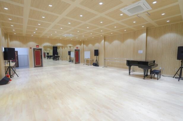 세종시문화관광재단,