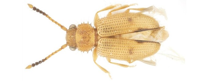 국립호남권생물자원관, 섬 지역 미기록...