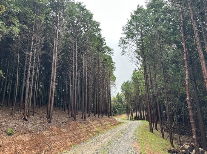 순천시, 산림청 임도 우수사례 평가 ...