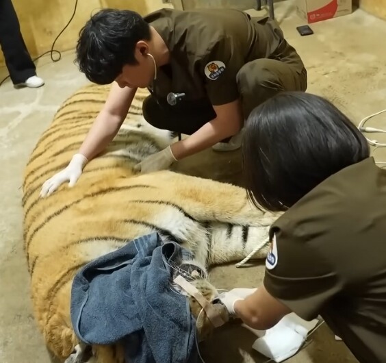 광주 우치동물원, ‘대한민국 동물복지...