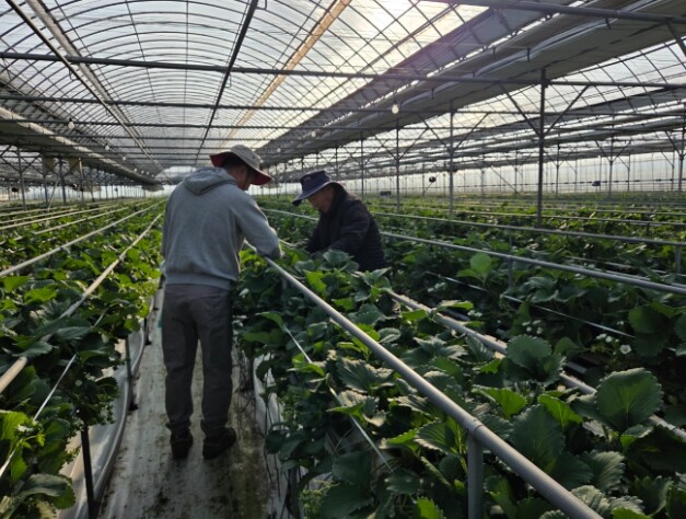 화순군, 겨울철 시설하우스 관리 ‘선...