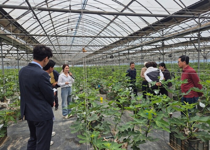 영암군 무화과지도사, 전남농촌지도대상...