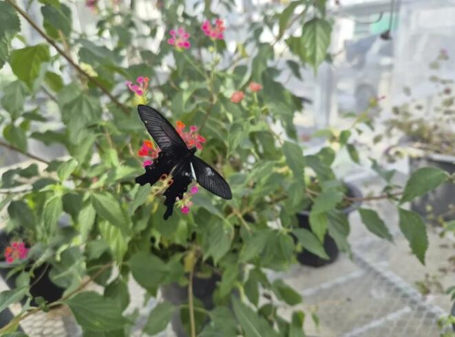 "함평은 이미 봄!&quot...