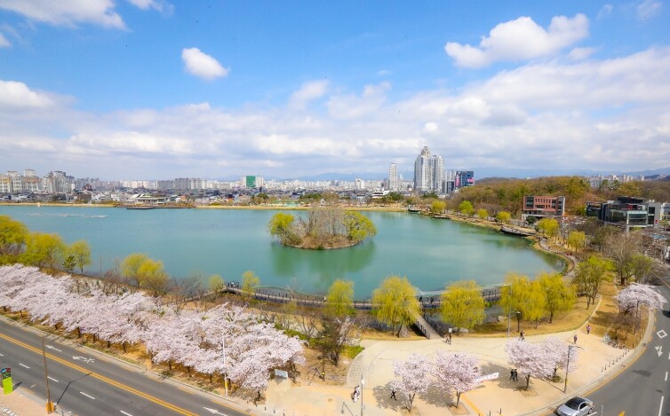 수성못, 문화체육관광부 주관 ‘로컬1...