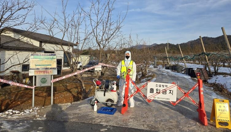 전남도, 나주 양돈농장 아프리카돼지열...