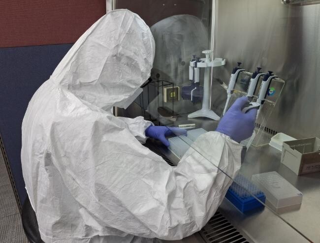 전남동물위생시험소, 설 연휴 가축전염...