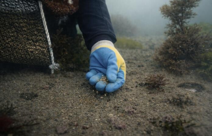완도군, 기후변화 대응 