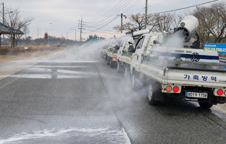 전남도, 설 대비 아프리카돼지열병 등...
