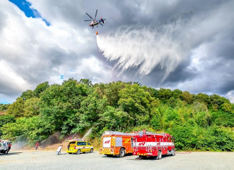 함안군, 설 연휴 산불방지 특별대책 ...
