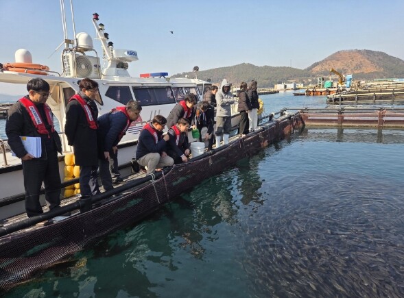경남도, 고수온 피해 잡는다... 2...