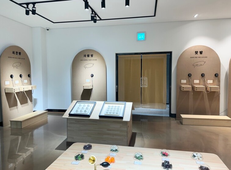 감귤박물관 상설 체험 공간 ‘감귤 감...