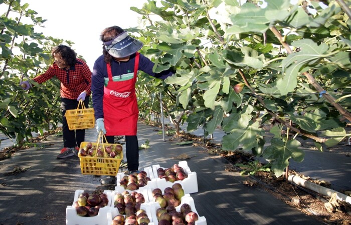 전남도, 농어민 공익수당 10만 원 ...