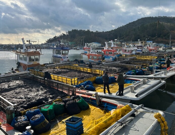 진도 김, 친환경 국제표준 인증(AS...