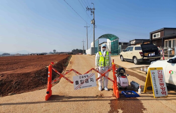 전남도 무안 양돈농장서 아프리카돼지열...