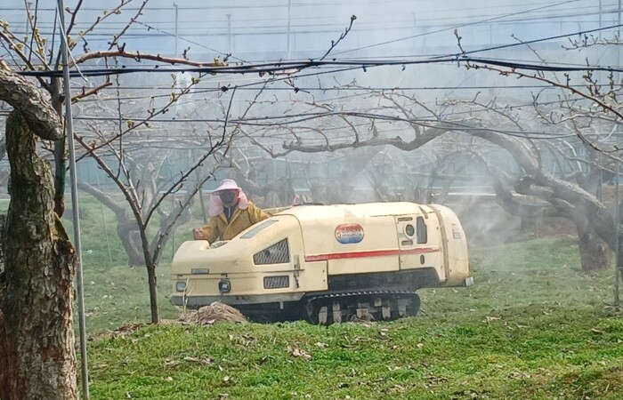 세종시 월동 병해충 방제, 올해는 서...
