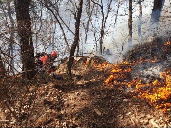 함양군 마천면 산불... 23일 12...