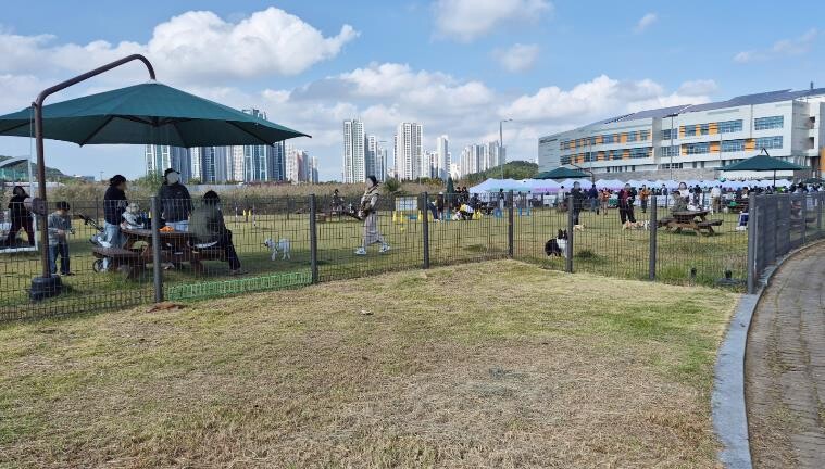 안산도시공사, 와스타디움 반려견 놀이...