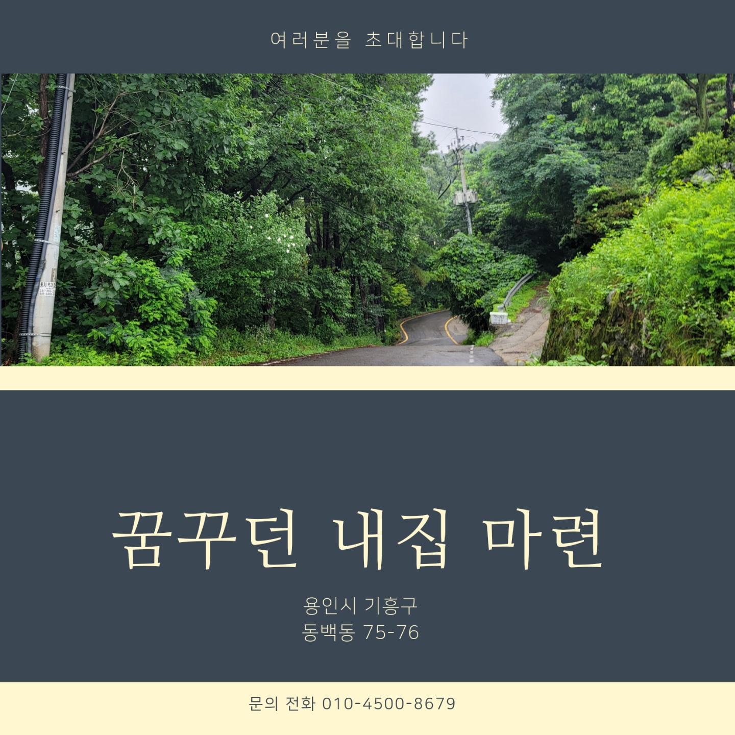 돔백동